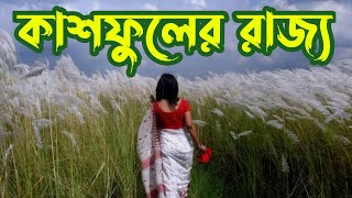 খুঁজে পেলাম বাংলাদেশের সবচেয়ে বড় কাশফুলের বন |  Nearest Kashful Area In Dhaka | Md Alin