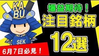 株式投資 爆益期待！6月7日用注目銘柄！ SEKの株TV