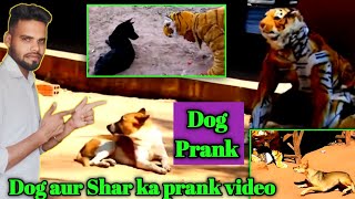 Dog prank video || dog prank 🤣😭