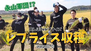 【稲刈り編】田んぼdeレブナイズseason8