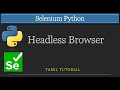 Run Selenium Without Opening a Browser | Headless Mode in Python