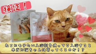 猫にモテたい入浴剤を使うと猫は寄ってくるのか検証してみた🐾