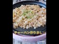 だから何？www ホットプレート チャーハン 永谷園のチャーハンの素