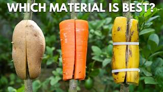 🌿Top Gardening Expert Reveals BEST Way to Propagate Lemon Trees