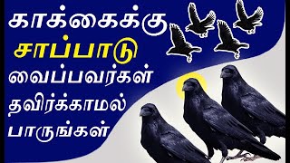 காக்கைக்கு சாப்பாடு வைக்கும் போது இதை பார்த்துவிடுங்கள் | food to crow |#nammabhoominammasamy