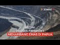 Begini Proses Freeport Menambang Emas di Papua