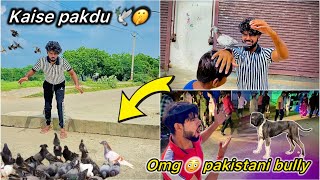 Road Se Mila Pakistani Bully 😮 || Jungli kabutar se Pakdne gye White pigeon 🕊️