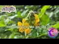 សុបិនឃើញជិះទូកនិងលិចទូក subtitles khmer _@សុបិនdream