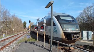 🗣️ Sprechender Bahnübergang in Dänemark