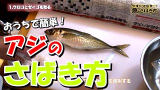 おうちで簡単！ 「今すぐマスター！魚のさばき方」アジ編 ＃魚料理＃魚のさばき方＃捌き方＃ステイホーム＃釣り＃アジ