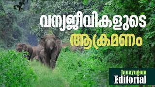 വന്യജീവികളുടെ ആക്രമണം | Janayugom Editorial