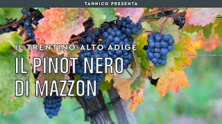 Mazzon, la casa del Pinot Nero dell'Alto Adige | Tannico Flying School