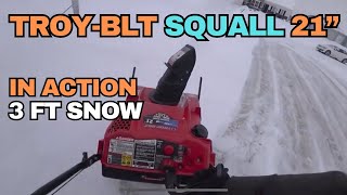 IN ACTION - Troy-Bilt Squall 21\