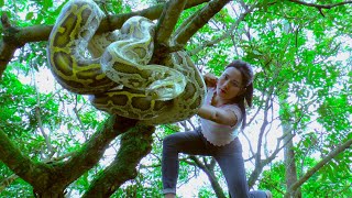 Harvesting avocados and sell them at the market - Catch a big PYTHON