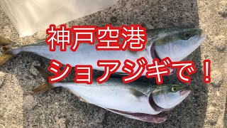 神戸空港ショアジギで！ｆｉｓｈｉｎｇｍａｘ神戸ハーバー店