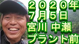 鮎釣り　宮川　釣果　小澤剛　友釣り無双