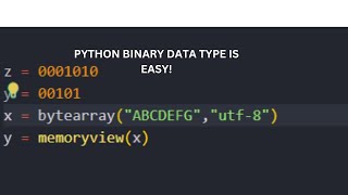 Binary Data Type in Python# so easy