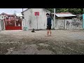 obedience training 7 month old belgian malinois dog trainer cebu