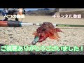 【ロックフィッシュ】仕事帰りに１投目で高級魚！？