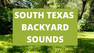 Relaxing Summer Morning in South Texas -- Ambient Backyard Sounds