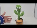 cómo elegir el mejor cactus bailarín en español para regalo cómo funciona el cactus bailarín