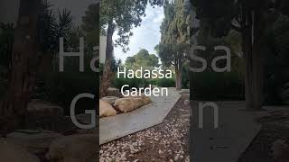 Garden of Hadassah Mt. Scopus Hospital