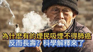 為什麽有的煙民吸煙不得肺癌，反而長壽？科學解釋來了