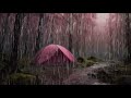 HEAVY RAIN CAMPING TENT IN THE FOREST zzzzZZZZZZZZzzzz