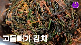 고들빼기 쓴맛 잡는 비법으로 시간 단축 고들빼기 김치 담그기