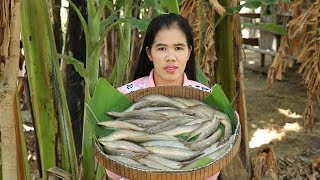 Amazing Cooking Peacock Eel With Tamarind Delicious Recipes - Cook Fish Recipe -Village Food Factory