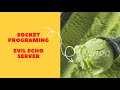 Socket Programming - Session 3 (Evil Echo Server)