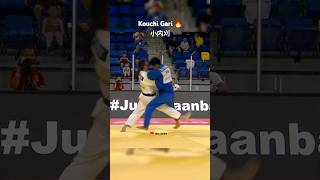 Judo throw Kouchi Gari / 小内刈 🔥