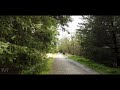 a relaxing walk through kirkhill forest scotland countryside 4k