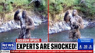 The MOST Shocking Bigfoot Videos EVER Captured on Trail Cameras Changed Everything
