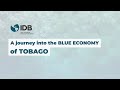 A Journey into the Blue Economy of Tobago