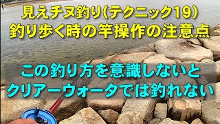 見えチヌ釣り（テクニック１９）前打ちで釣り歩くため餌打ちと餌の回収の一連の竿操作と注意する点を解説【前打ち／ヘチ釣り／落とし込み／河川／クロダイ／カニ／釣り方／サイトフィッシング】