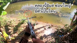 #ยิงปลา ยิงปลาช่อนคลอง มีแต่ไซส์โล #ยิงปลาช่อน ไม่อยากแต่ไม่ง่าย🐟