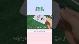 [캐럿로그] Follow again 상암 막콘 초심자의 행운 럭키카드 뽑다