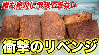 【昨年大失敗…】世界でもっとも大きくなるオオクワガタの産卵セットを暴いた結果が奇跡的過ぎた