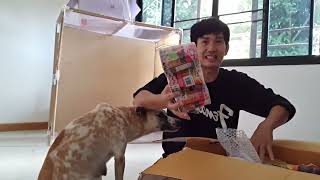 ซอมบี้ทำเซอร์ไพร 🙏พี่วิทยาทำให้พ่ออึ้ง🥰😉🐕 #หมาซอมบี้