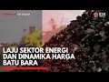 Laju Sektor Energi dan Dinamika Harga Batu Bara | IDX CHANNEL