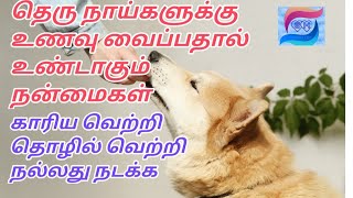 தெரு நாய்களுக்கு உணவு வைப்பதால் உண்டாகும் நன்மைகள்/Streetdog/how to care street dogs/dog food