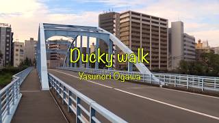 [024C] オリジナル曲　ギターインスト「Ducky walk」  original guitar instrumental music /DTM