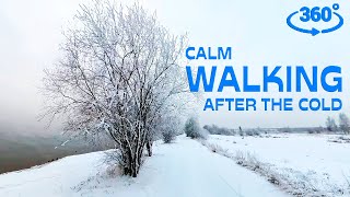 |360 VR video| Winter Scenes for VIRTUAL WALKING slowly - winter sensory video for treadmill