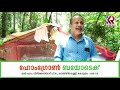 മീന്‍ കുളത്തില്‍ മീനുകള്‍ കൂട്ടത്തോടെ ചത്തുപൊങ്ങി thiloppia fish mundakkayam