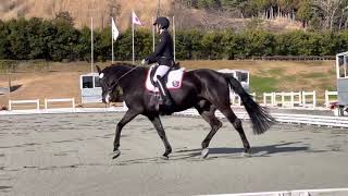 2021全日本馬場　L2(決勝) 工藤選手\u0026フェアリーテール・ブラック