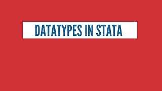 Different Datatypes in Stata