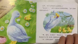 中文故事书标准朗读睡前故事儿童绘本《迪伦哪儿去啦》 Bedtime Storybook  Reading with Standard Chinese \