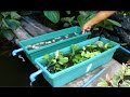 How to build simple fishpond fitration system.. renewable technique is included How to build simple fishpond fitration system.. renewable technique is included