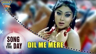 Song Of The Day 17 || Bollywood Best Songs || Dil Me Mere Video Song || Aaj Ka Gundaraj Movie